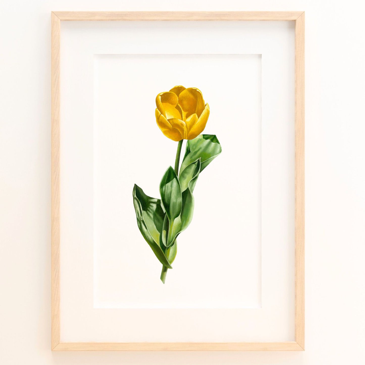 Golden Tulip