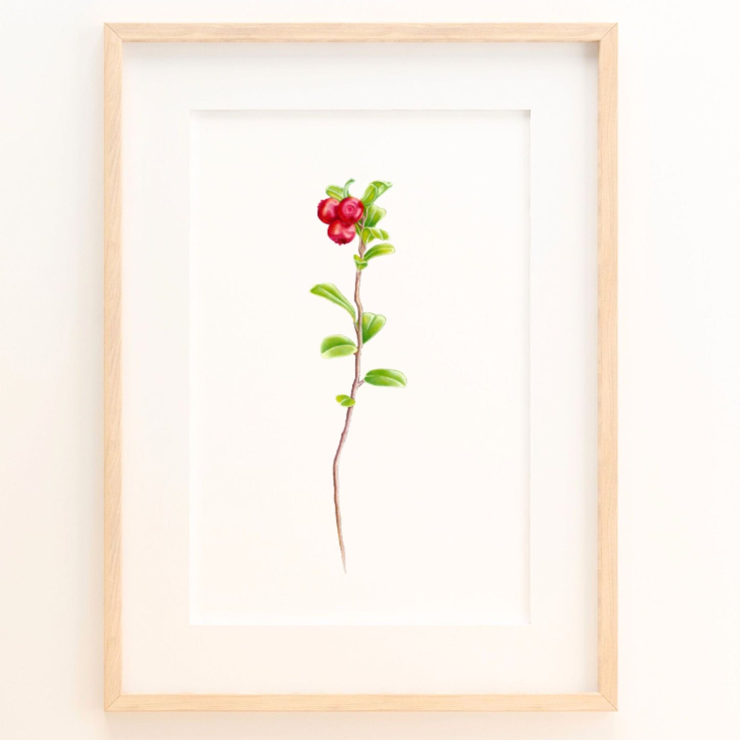 Wild Cranberry Trio