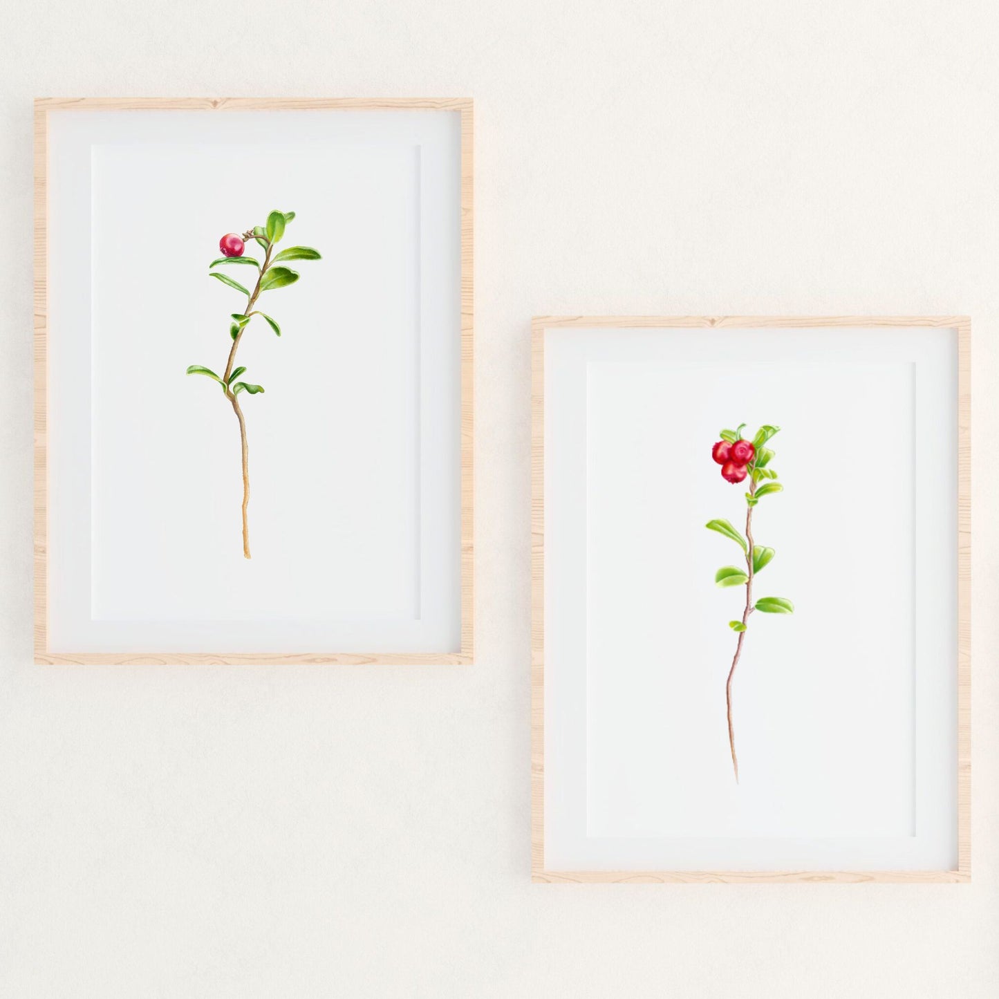 Wild Cranberry Trio