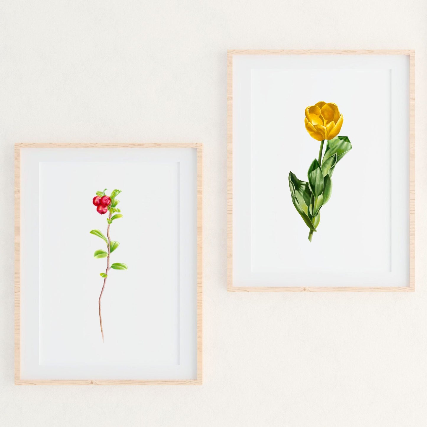 Wild Cranberry Trio
