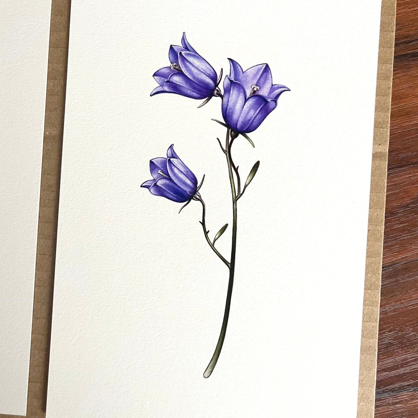 Harebells