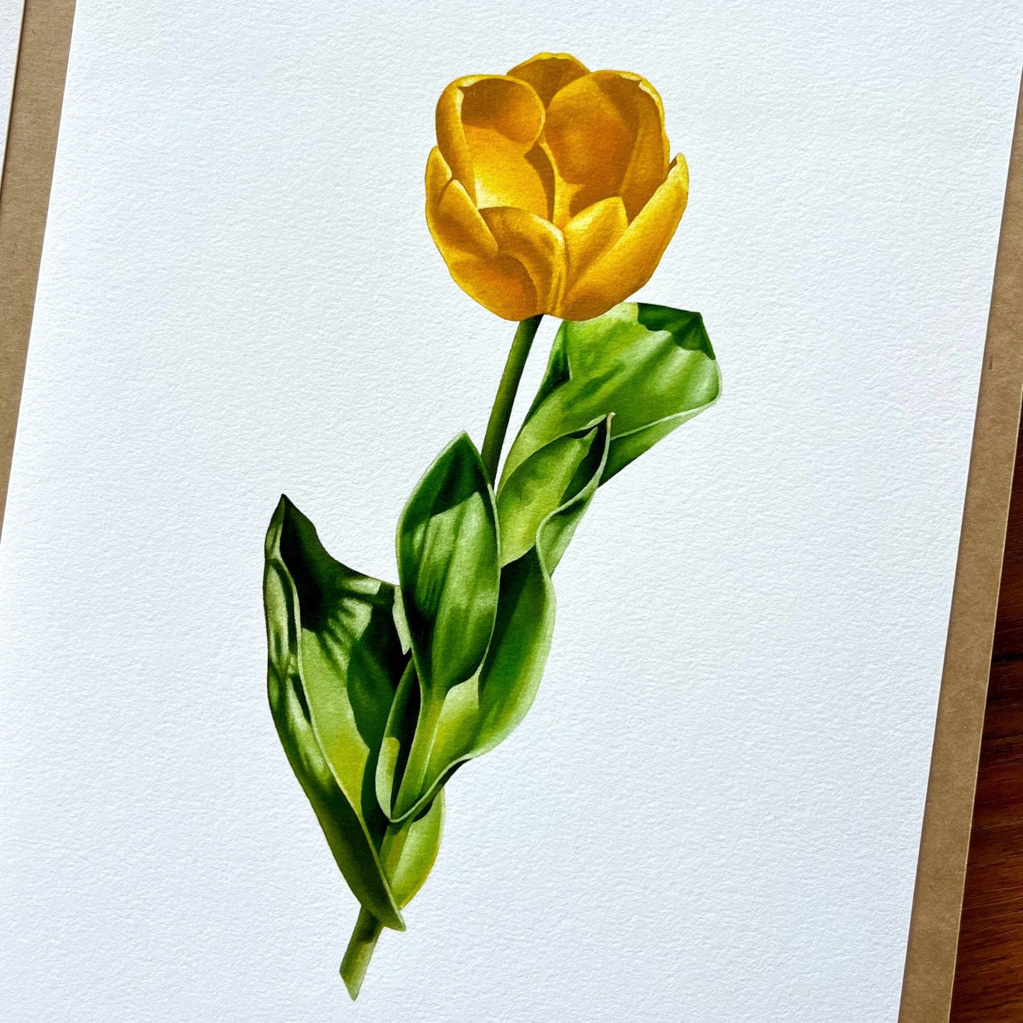 Golden Tulip