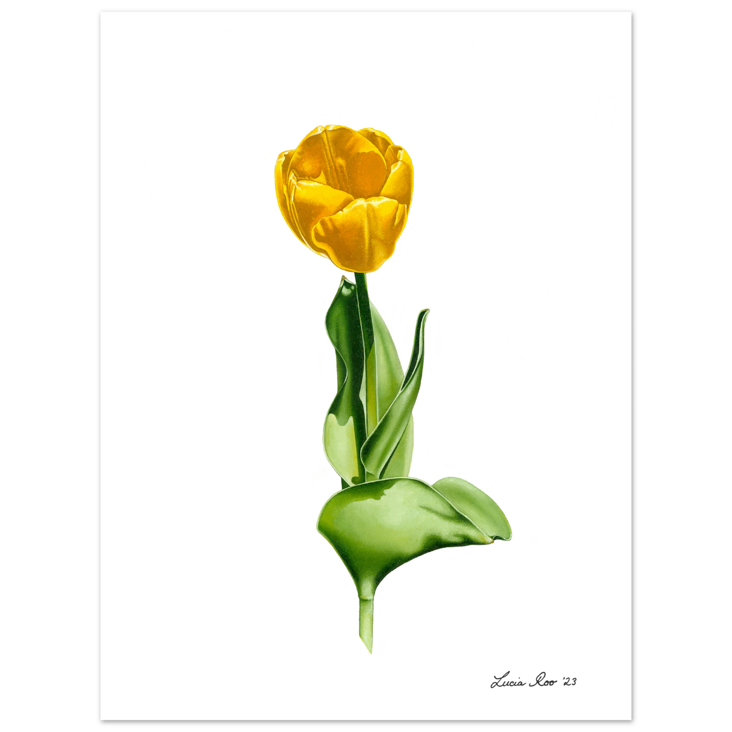 Painting of a yellow tulip with green leaves.