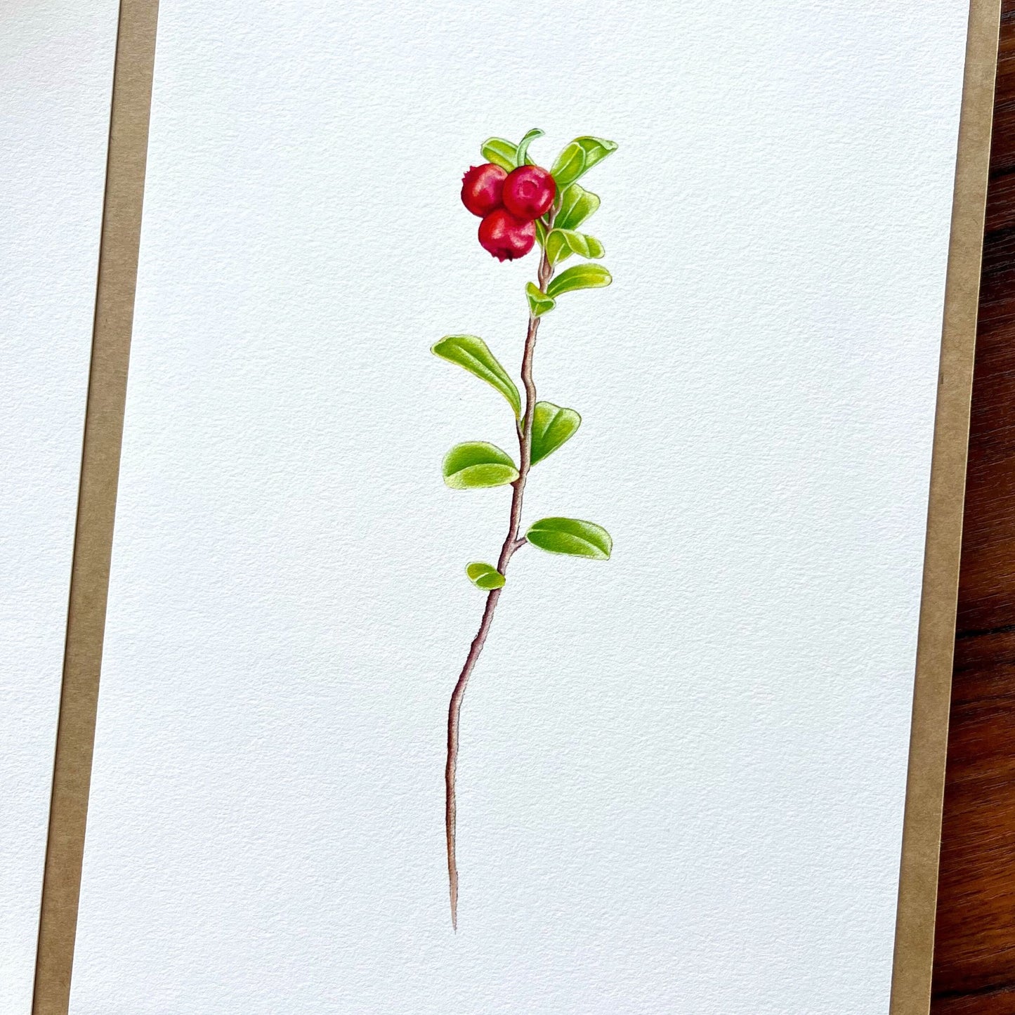 Wild Cranberry Trio
