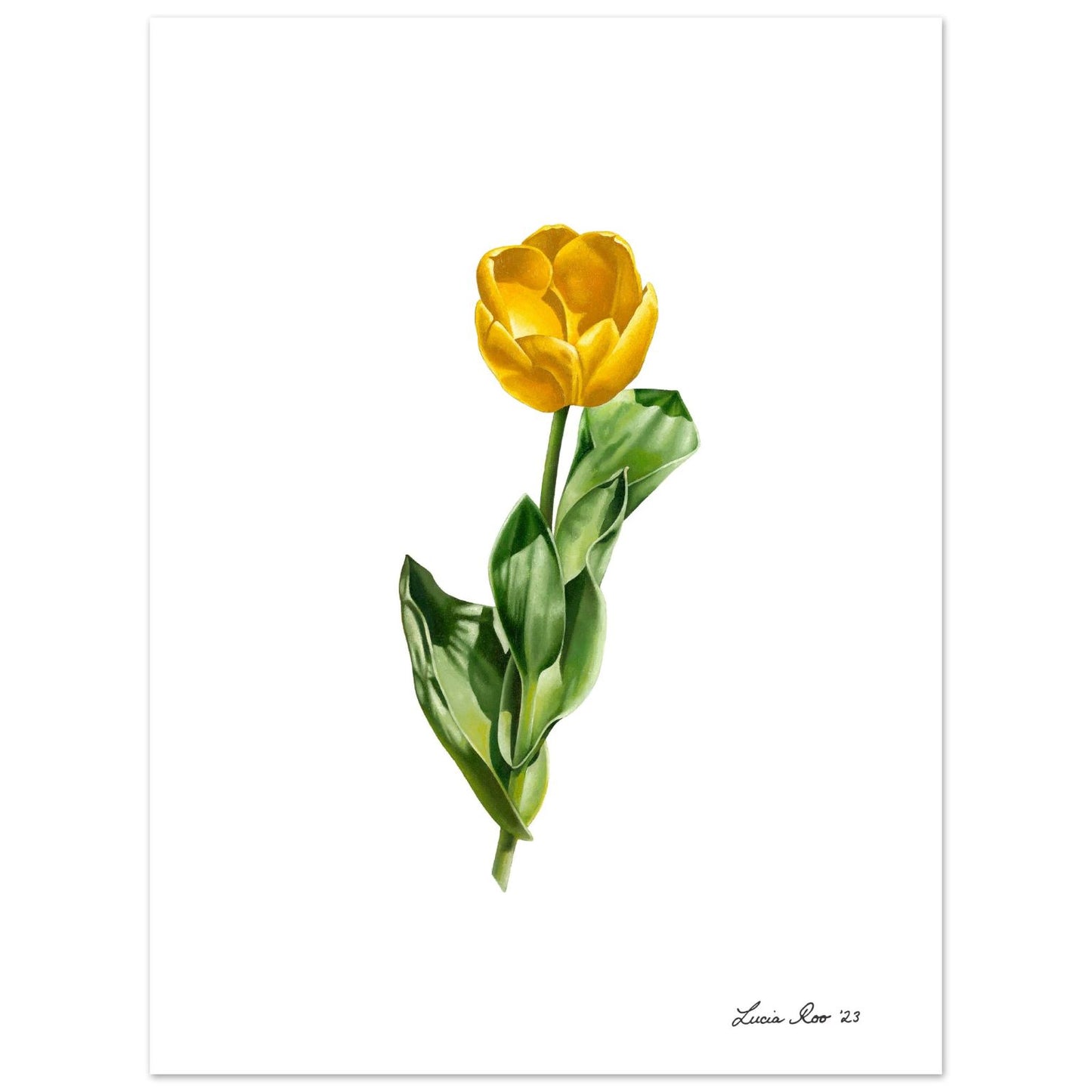 Yellow tulip with large green leaves containing strong shadows.