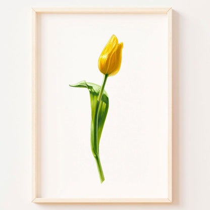 Yellow Tulip