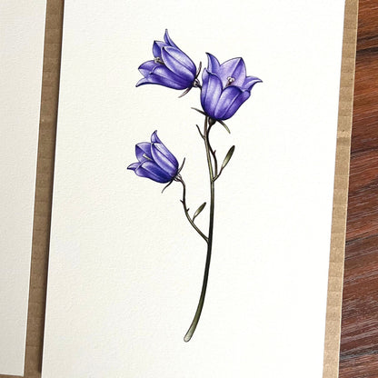 Harebells