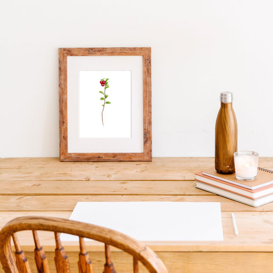 Framed print of three wild cranberries.