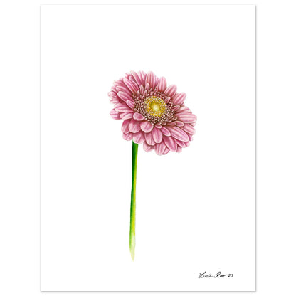 Print of a pink gerbera.