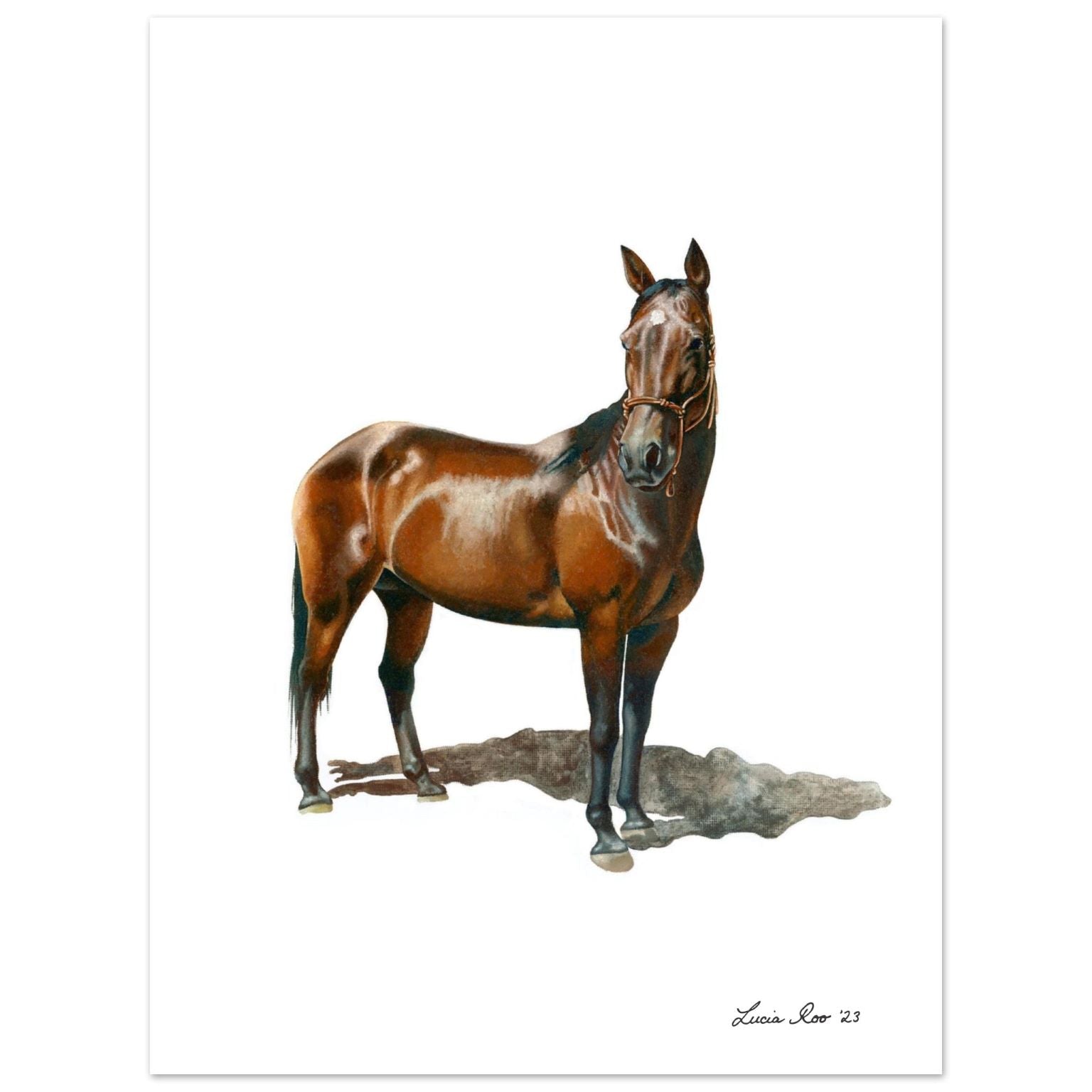 Realistic painting of a dark brown horse looking to the side.