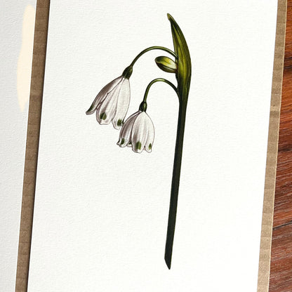 Spring Snowflakes